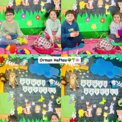 Orman Haftası 🌳🍄🌱🌿☘️