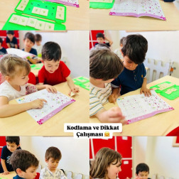 Kodlama ve Dikkat Çalışması