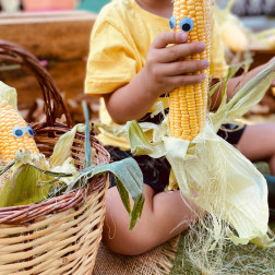 CORN FESTIVAL