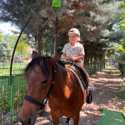 At Biniciliği Deneyimimiz!