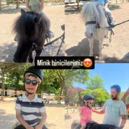 AT BİNME
