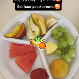 NELER YİYORUZ?