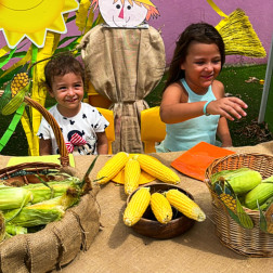📢 Mısır Şenliği Başladı! 🌽✨