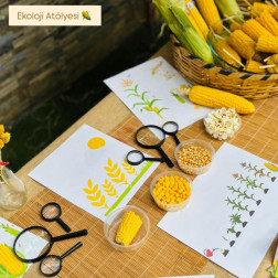 Ekoloji Atölyesinde Mısırın Serüvenini Keşfettik!