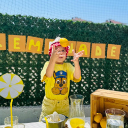 LEMONADE FESTIVAL