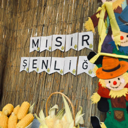 Yaz Okulu Mısır Partisi!