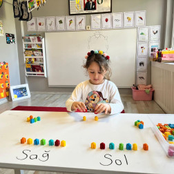 Sağ ve Sol Beyin Etkinliğiyle Dolu Dolu Bir Gün!