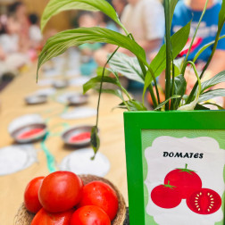 Minik Eller Domates ve Toprakla Buluştu!