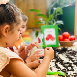 Minik Eller Domates ve Toprakla Buluştu!