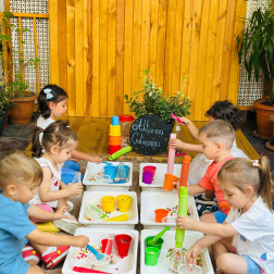 Dikkat, Sabır ve Minik Taşlar: Aktarma Zamanı!