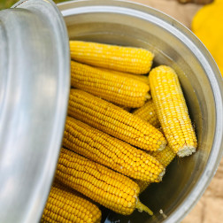 🌽😊 Pusula Anaokulu’nda Mısır Keyfi 😊🌽