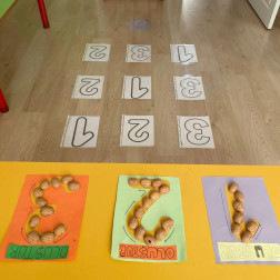1-2-3 Ceviz! Sayılarla Oynuyoruz!