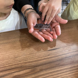 Miniklerimiz Kertenkeleyle Tanıştı!