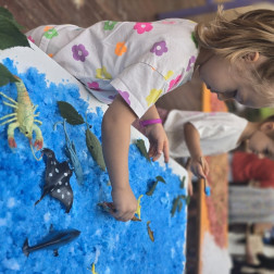 Deniz Canlıları Temalı Duyusal Atölye Çalışması