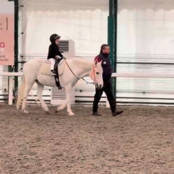 Miniklerimizle Eğlenceli At Binme Etkinliği!