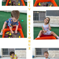 Minik Ellerle Civciv Besleme!