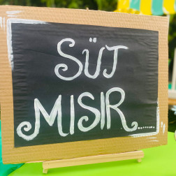 Bahçede Mis Gibi Mısır Şenliği