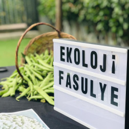 Lezzetli Eller, Mutlu Karınlar!