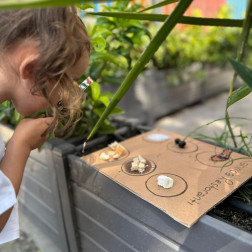 🐜 Fen Doğa Atölyesi: Karınca Restoranı!