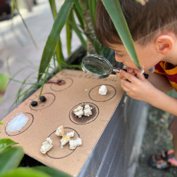 🐜 Fen Doğa Atölyesi: Karınca Restoranı!