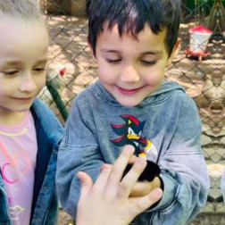 🐥 Bahçemizde Civciv Neşesi! 🌿🌞