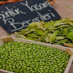 Günlük Yaşam Becerileri 🌱