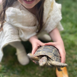 Tavşan ile Kaplumbağa Hikayesi Canlanıyor 🐇🐢