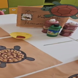 Kaplumbağa Hikayesi 🐢
