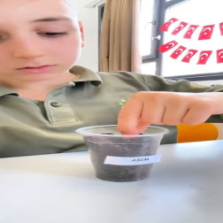 🌱 Tohumdan Fidana, Fidandan Toprağa! 🌱