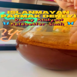 Islanmayan Parmak Deneyi