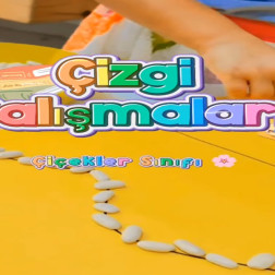 Çizgi Çalışmaları ile El Becerisi Gelişimi