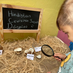 Hindistan Cevizinin Yaşam Döngüsünü Öğreniyoruz!