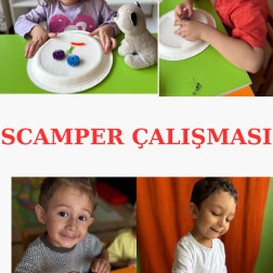 SCAMPER Tekniği ile Yaratıcı Düşünme
