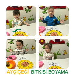 🌻 Güneşe Bakan Çiçekler: Ayçiçek Boyama Etkinliğimiz 🎨