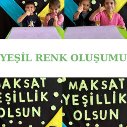 💚 Sarı ile Mavi Buluştu, Yeşil Renk Oluştu! 🎨