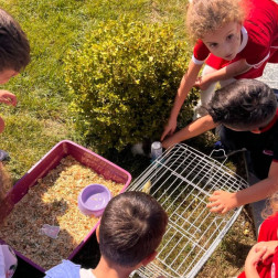 Oryantasyon Sürecimiz 🌸✨