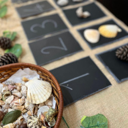 🔢 Hayal Gemisi'nde Doğayla Sayıları Keşfediyoruz! 🐚