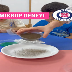 Mikrop Deneyi