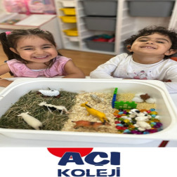 Çiftlik Hayvanları