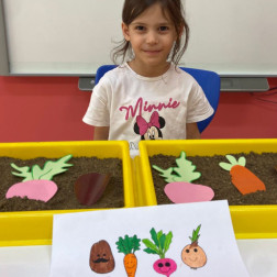 TOĞRAĞIN ALTINDA YETİŞEN SEBZELER ETKİNLİĞİ