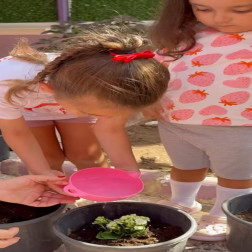 Bahçede Bitki Bakımı