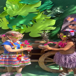 Hawaii Partisi