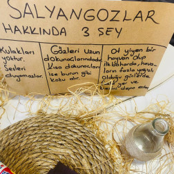 Salyangozların Dünyasını Keşfediyoruz 🐌✨