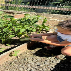 Bahçeden Sofraya 🍅🌱