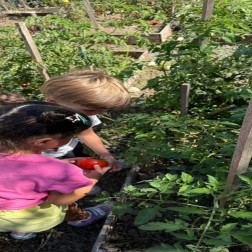 Bahçeden Sofraya 🍅🌱