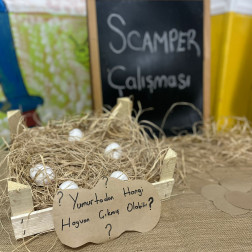 🌱 Başlık: Tohumların Sırrı 🌿✨
