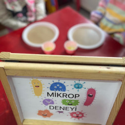 Mikrop Deneyi 🦠🔬