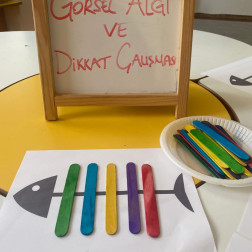 Görsel Algı ve Dikkat Çalışması 👀🎨