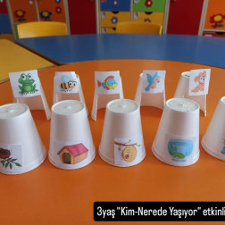 Kim Nerede Yaşıyor? 🐸🐝🐟