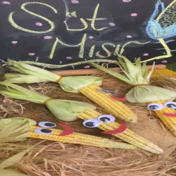 Süt Mısırlarla Eğlenceli Tanışma 🌽